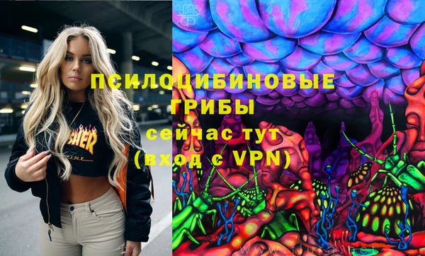 a pvp Алзамай