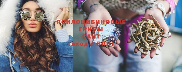 крисы Алексеевка